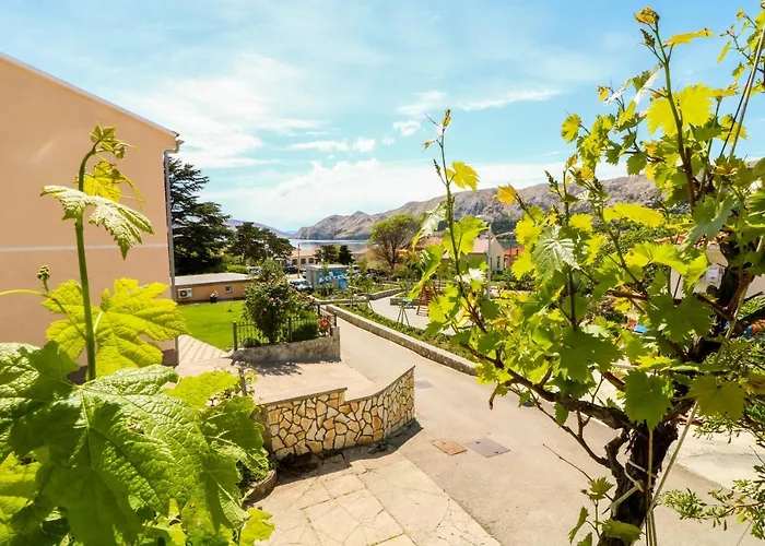 Edo With Terrace * 바슈카